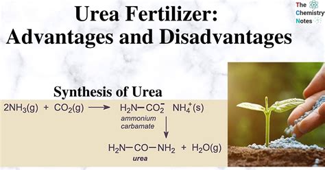  Urea: Um fertilizante essencial para o crescimento de culturas e um componente-chave na produção de resinas!