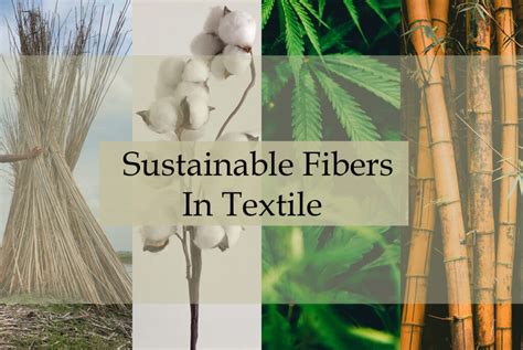  Isabgol: A Natural Fiber Revolutionizing Sustainable Textile Production!